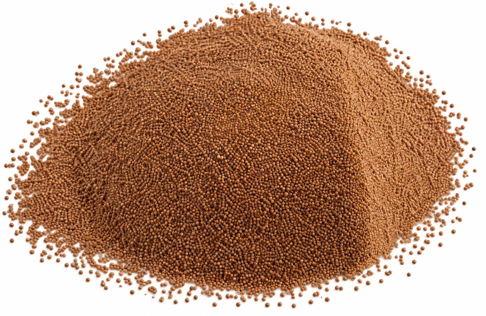 Premium brine shrimp cysts, Artemia cysts product